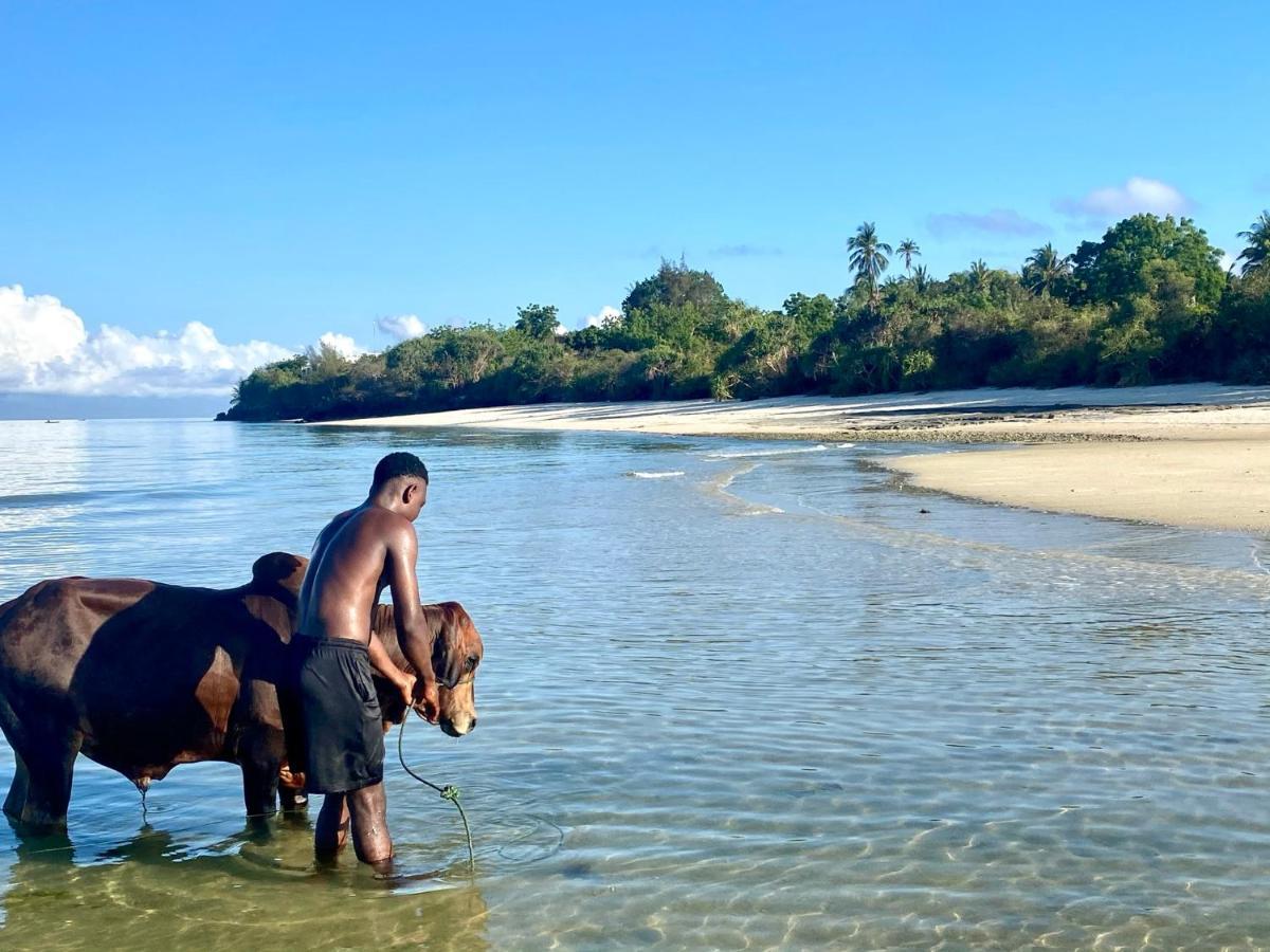 Kingstone Lodge Zanzibar Bet-el-Mali Exteriör bild