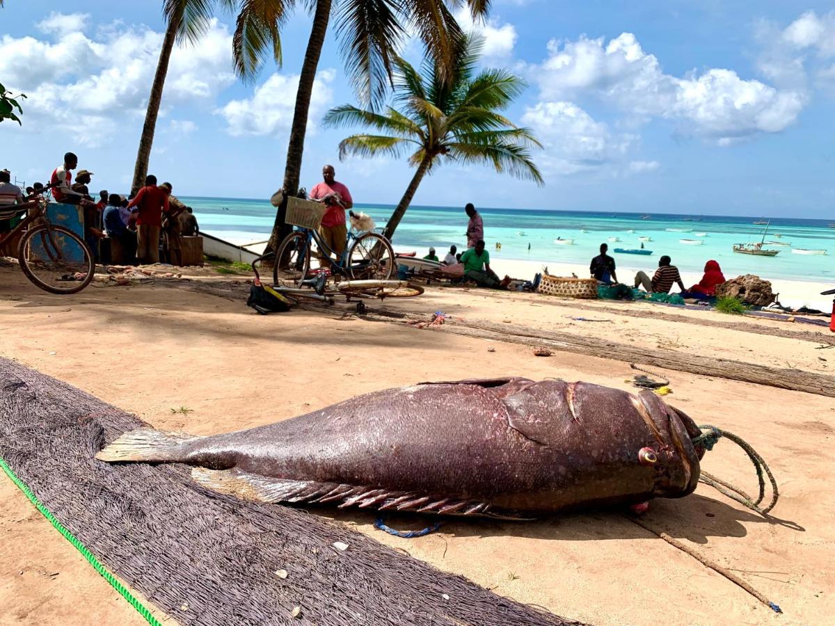 Kingstone Lodge Zanzibar Bet-el-Mali Exteriör bild